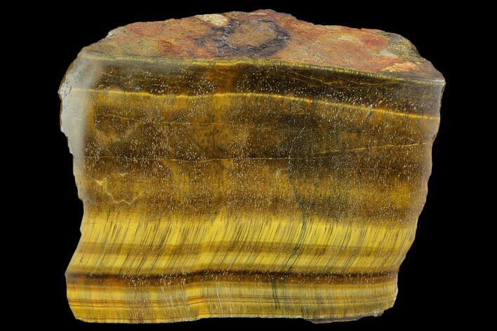 Polished Tiger's Eye Section - South Africa #128532